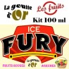 FURY - KITS 100 ML