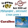 CARAÏBES - KITS 100 ML