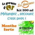 MENTHE FORTE - KITS 100 ML