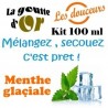 MENTHE GLACIALE - KITS 100 ML