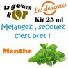 MENTHE - KIT 25 ML