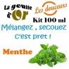 MENTHE - KITS 100 ML