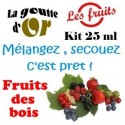 FRUITS DE BOIS - KIT 25 ML
