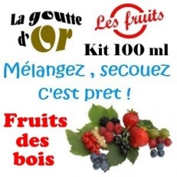 FRUITS DES BOIS - KITS 100 ML
