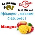 MANGUE - KIT 25 ML