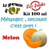 MELON - KITS 100 ML