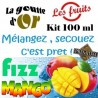 FIZZ MANGO - KITS 100 ML